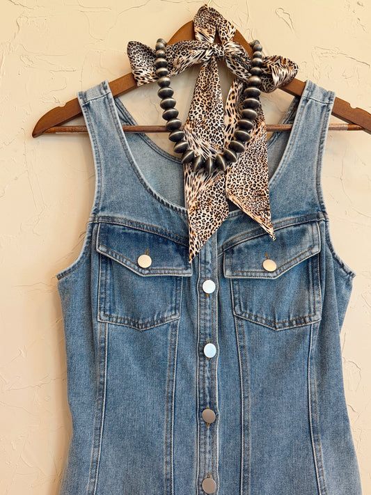 The Darian Denim Dress