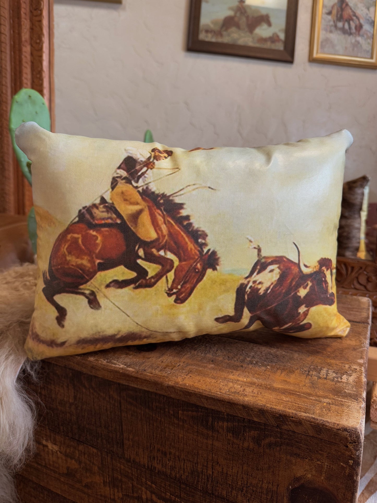 The Stray Pillow