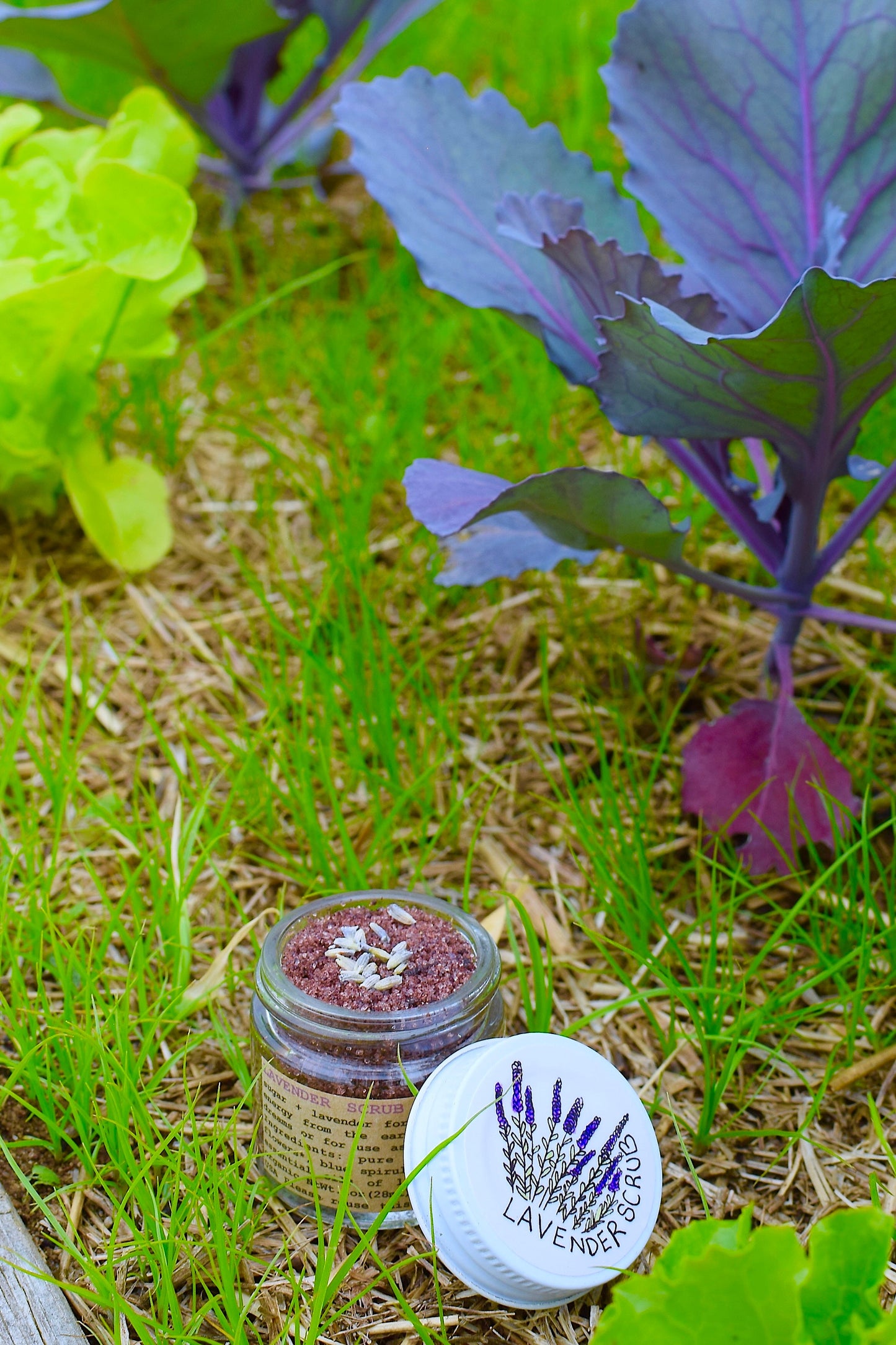 Lavender Scrub